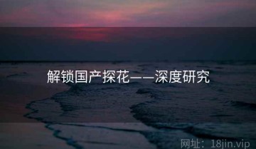 解锁国产探花——深度研究