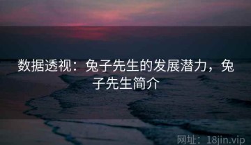 数据透视：兔子先生的发展潜力，兔子先生简介