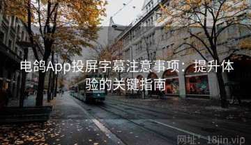 电鸽App投屏字幕注意事项：提升体验的关键指南