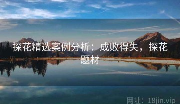 探花精选案例分析：成败得失，探花题材