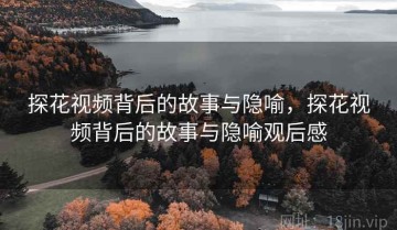 探花视频背后的故事与隐喻，探花视频背后的故事与隐喻观后感