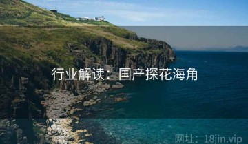 行业解读：国产探花海角