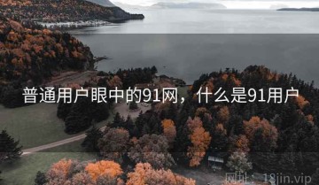 普通用户眼中的91网，什么是91用户