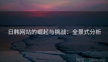 日韩网站的崛起与挑战：全景式分析