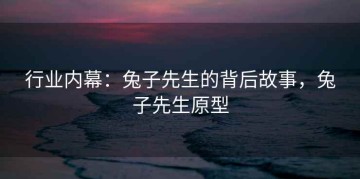 行业内幕：兔子先生的背后故事，兔子先生原型