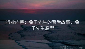 行业内幕：兔子先生的背后故事，兔子先生原型