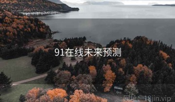 91在线未来预测