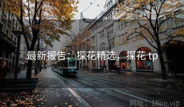 最新报告：探花精选，探花 tp
