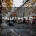 未来91黑料将走向何方？