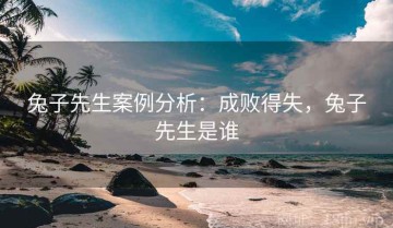 兔子先生案例分析：成败得失，兔子先生是谁