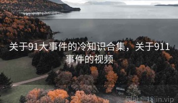 关于91大事件的冷知识合集，关于911事件的视频