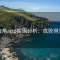 海角app案例分析：成败得失