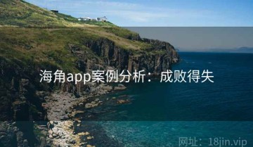 海角app案例分析：成败得失