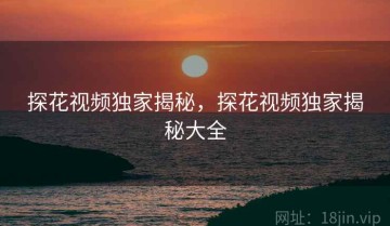 探花视频独家揭秘，探花视频独家揭秘大全