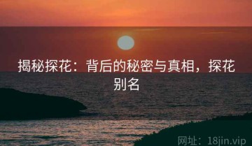 揭秘探花：背后的秘密与真相，探花别名
