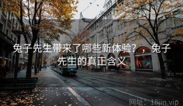 兔子先生带来了哪些新体验？，兔子先生的真正含义