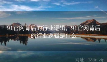 91官网背后的行业逻辑，91官网背后的行业逻辑是什么