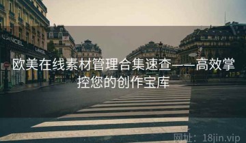 欧美在线素材管理合集速查——高效掌控您的创作宝库