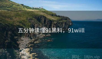 五分钟读懂91黑料，91wiill