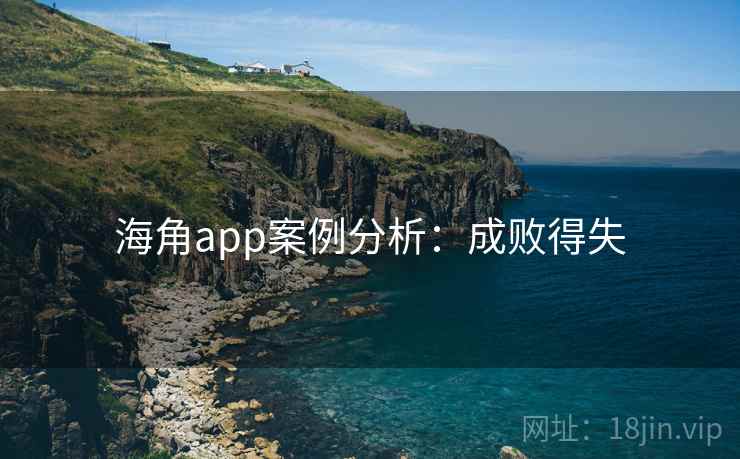 海角app案例分析:成败得失 海角app案例分析:成败得失