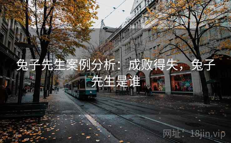 兔子先生案例分析:成败得失,兔子先生是谁 兔子先生案例分析:成败得失,兔子先生是谁
