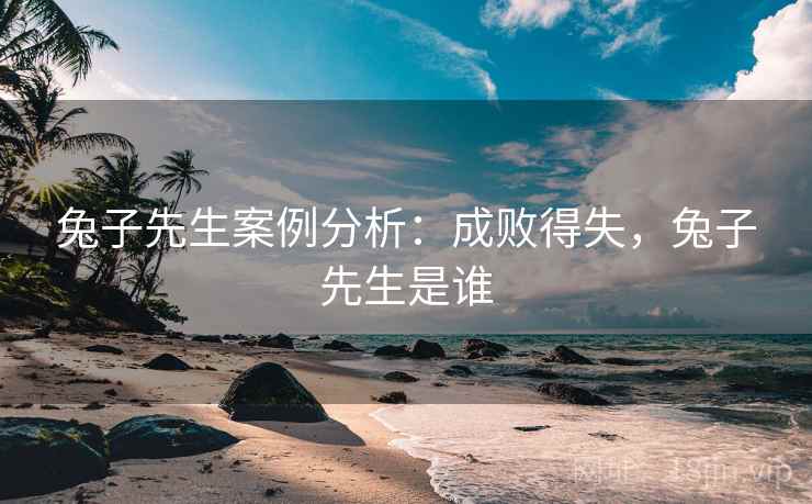兔子先生案例分析:成败得失,兔子先生是谁 兔子先生案例分析:成败得失,兔子先生是谁